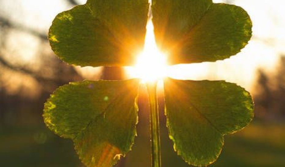 Nové „zázračné“ slovo – MANIFESTÁCIA: keď sa sny stretnú s činmi | Lagomstore Filozofia 