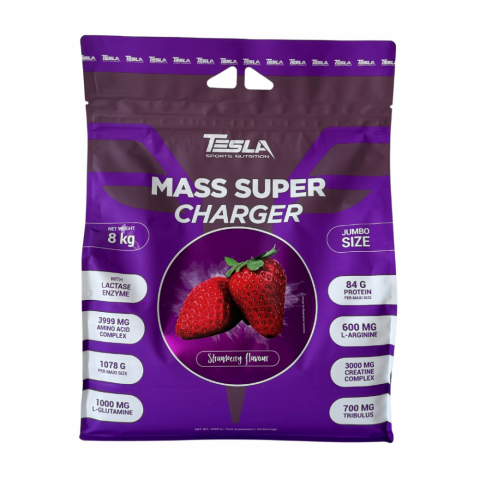 TESLA MASS SUPER CHARGER 8 kg